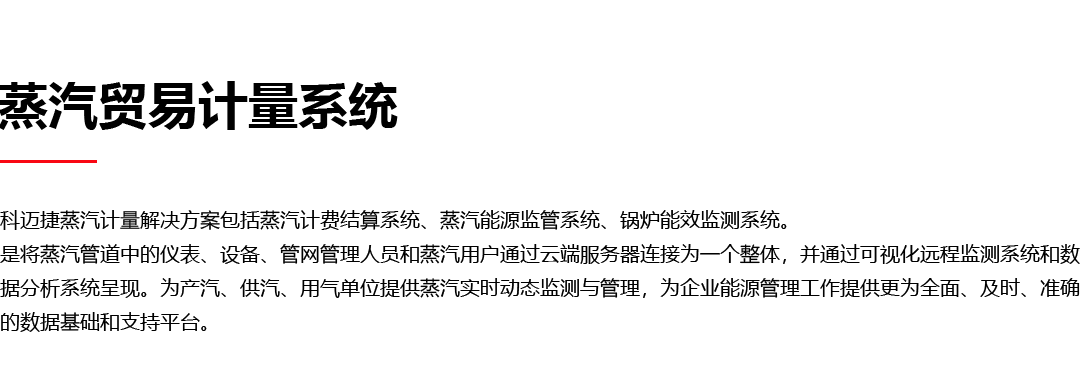 蒸汽貿(mào)易計(jì)量系統(tǒng)