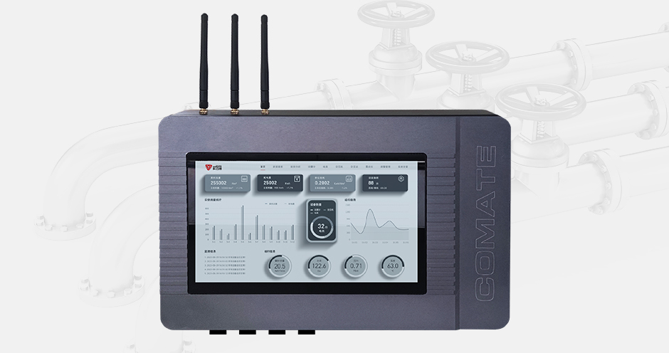 DS610數(shù)據(jù)顯示與分析終端